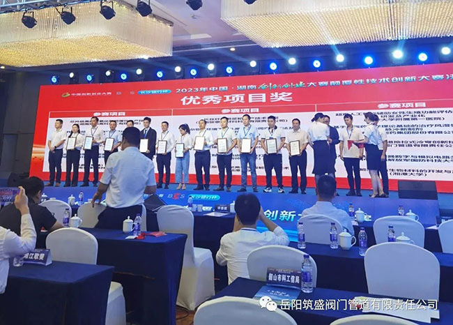 熱烈慶賀我公司榮獲省顛覆性技術(shù)創(chuàng)新大賽“優(yōu)秀項(xiàng)目獎(jiǎng)”！